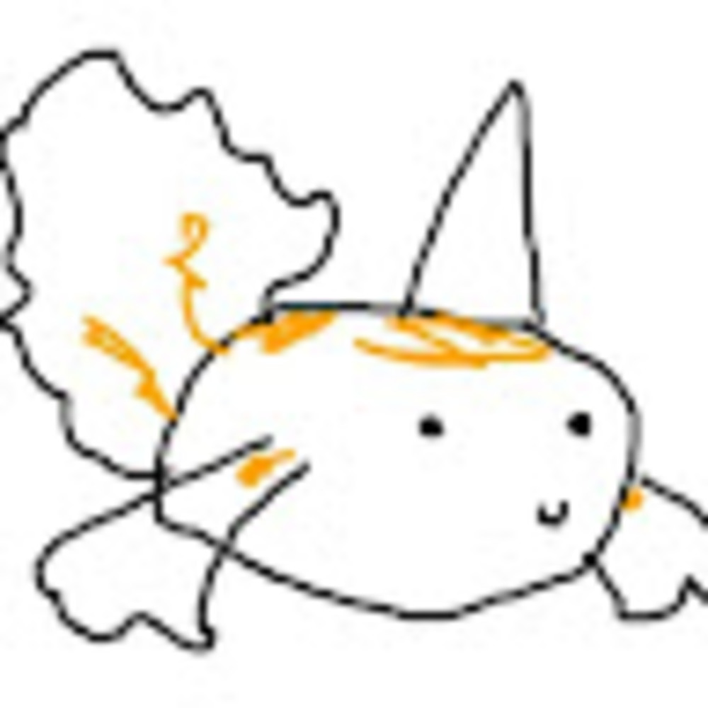 Meet your Posher, Isabel